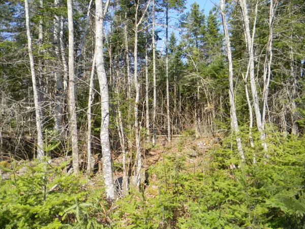 Cambridge, ME 04923,0 lot Pease, Map 4 Lot 4 RD