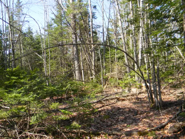 Cambridge, ME 04923,0 lot Pease, Map 4 Lot 4 RD