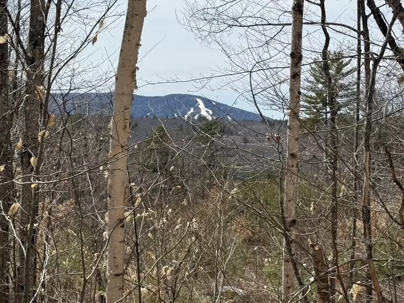 Lot 82 Summit DR, Bridgton, ME 04009
