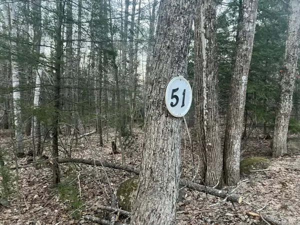 Otisfield, ME 04270,51 Rayville RD