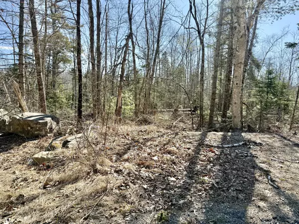 Lot 2 Valley East Sub, South Main ST, Morrill, ME 04952