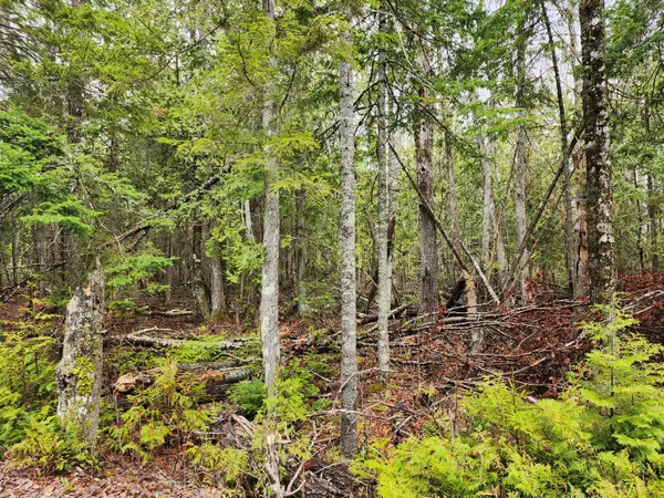 Lubec, ME 04652,Lot 64 Coffins Neck RD