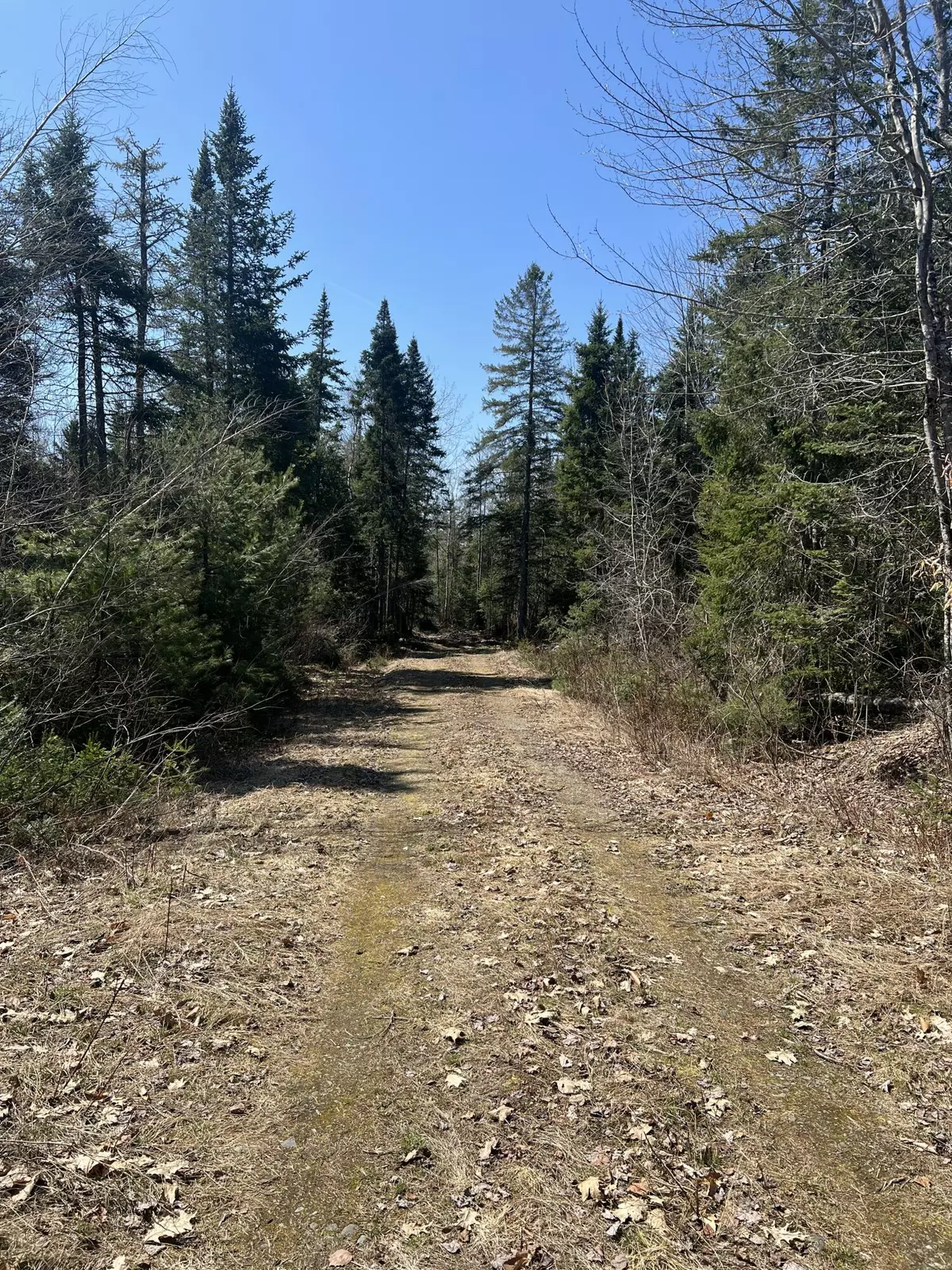 Hudson, ME 04449,14-4 Hemlock DR