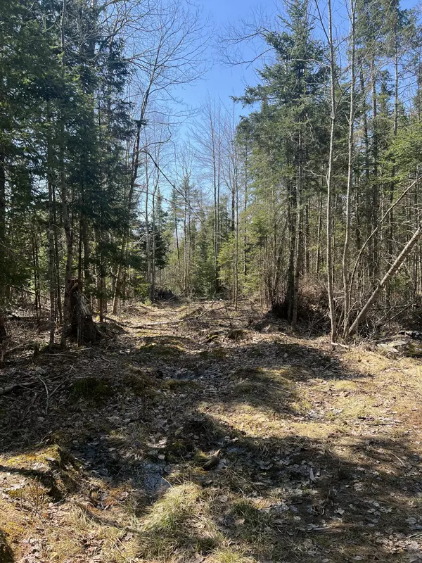 Hudson, ME 04449,14-4 Hemlock DR