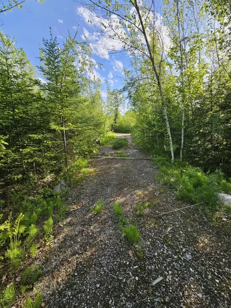Lot # 8 Moonlight DR, Harrison, ME 04040