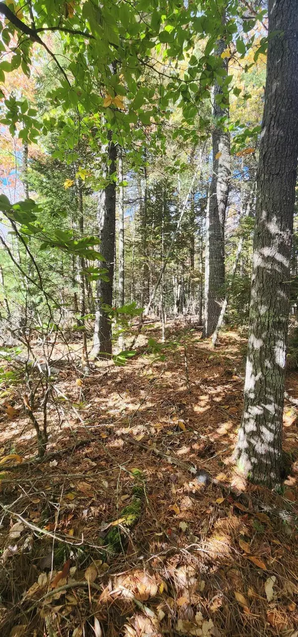 R11L30-2-1 Mariaville RD, Mariaville, ME 04605