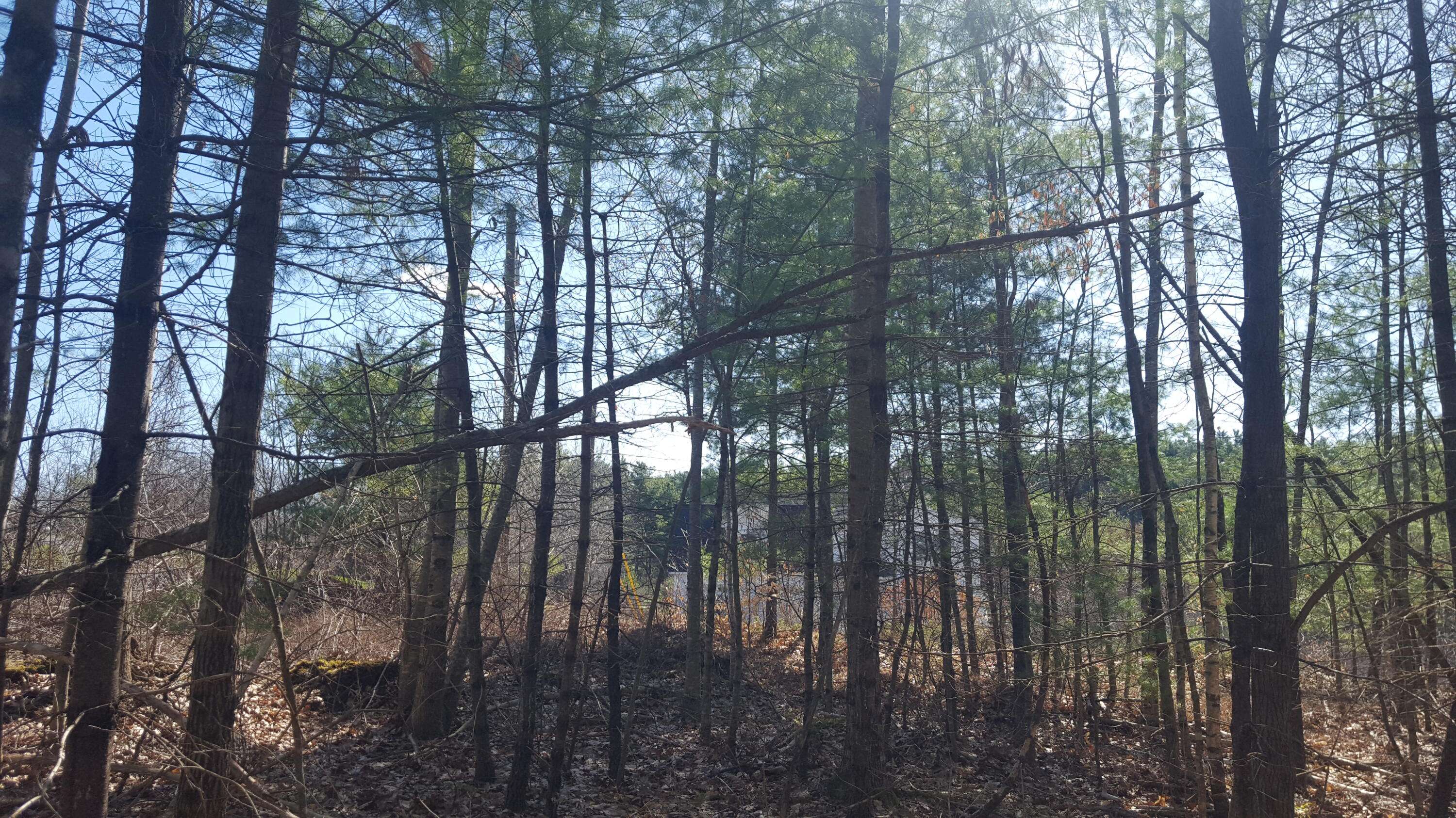 79 Mitchell Hill Road RD, Gorham, ME 04038