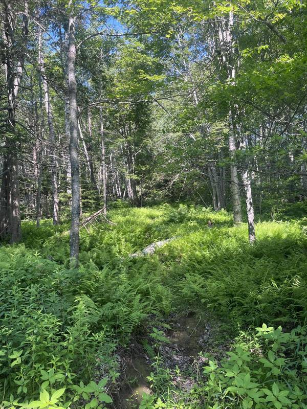TBD Atlantic Quarry RD, Saint George, ME 04860