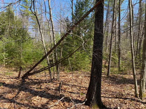 Standish, ME 04084,175 Dow RD