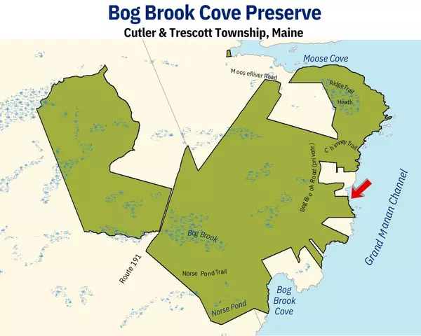 Trescott Twp, ME 04652,87.81 Shag Rock RD