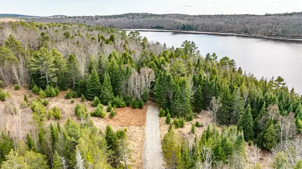 Orland, ME 04472,Map5 Lot89 Leaches Point RD