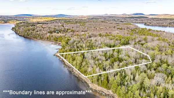 Orland, ME 04472,Map5 Lot89 Leaches Point RD