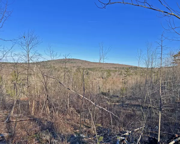 Bucksport, ME 04416,M15 L51 Upper Long Pond RD