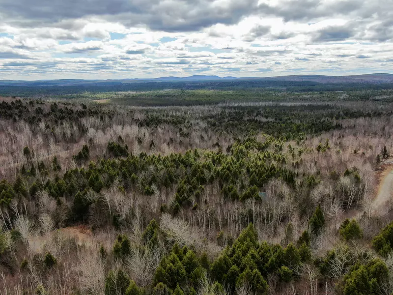 Lot 16 Upper Dobsis RD, Lakeville, ME 04487