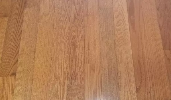 Wells, ME 04090,430 Post RD #141