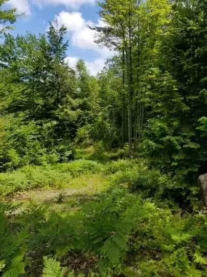 Canton, ME 04221,4 Youngs RD