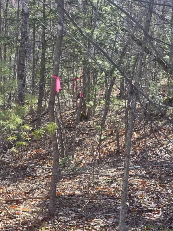 Acton, ME 04001,48-2 13th ST