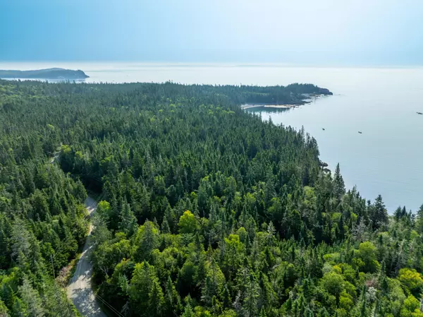 Trescott Twp, ME 04652,X Havenhurst RD