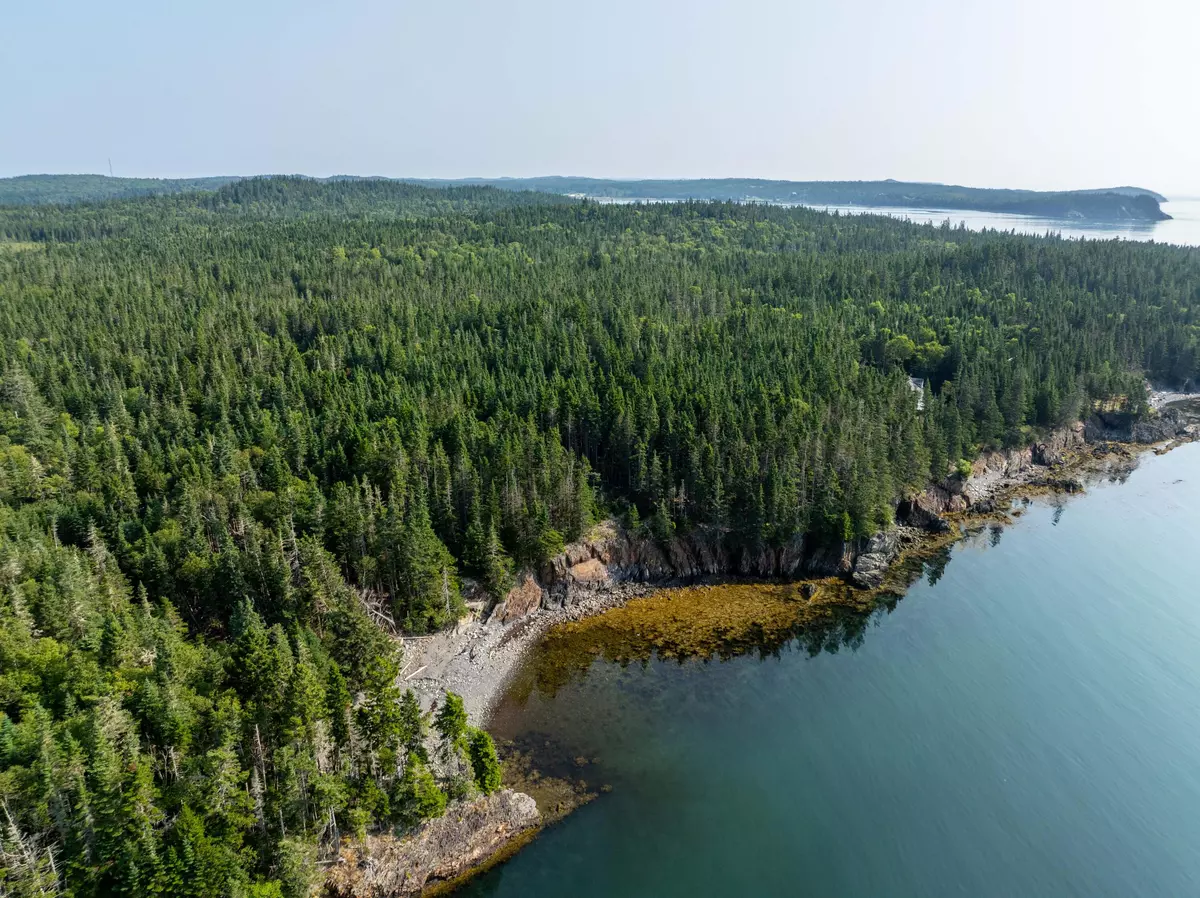 Trescott Twp, ME 04652,X Havenhurst RD