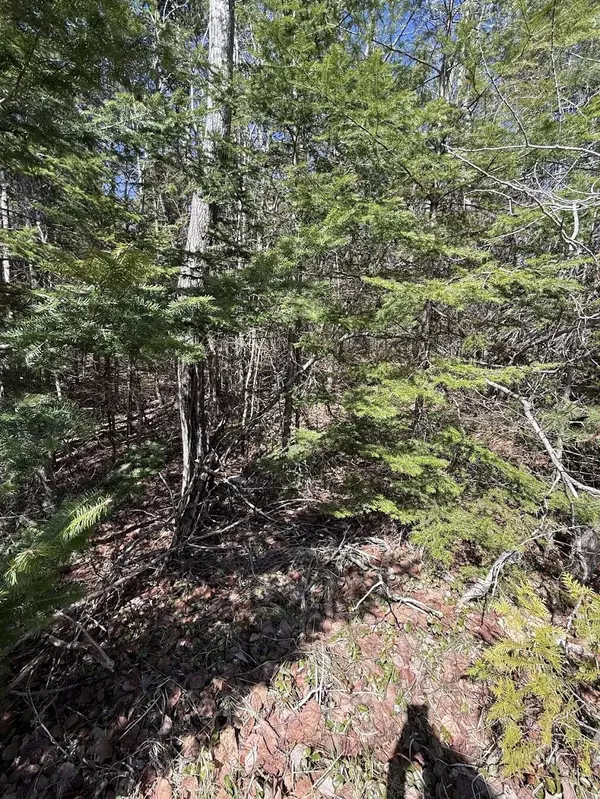 Robbinston, ME 04671,Lot 7-10 US RTE 1