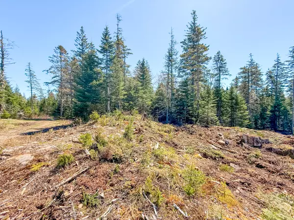 Vinalhaven, ME 04863,18 Berry LN