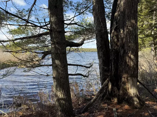 Cooper, ME 04657,Lot E Birch Point RD