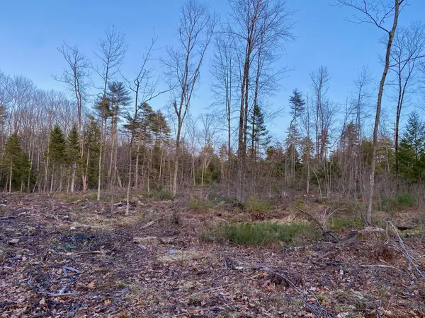 Standish, ME 04084,1020-E Ossipee Trail West