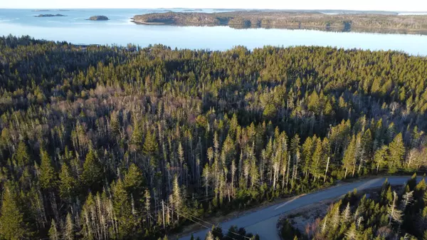 Machiasport, ME 04655,27-28 Yoho Head RD