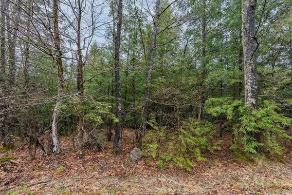 Otisfield, ME 04270,19-E2 N McAllister RD