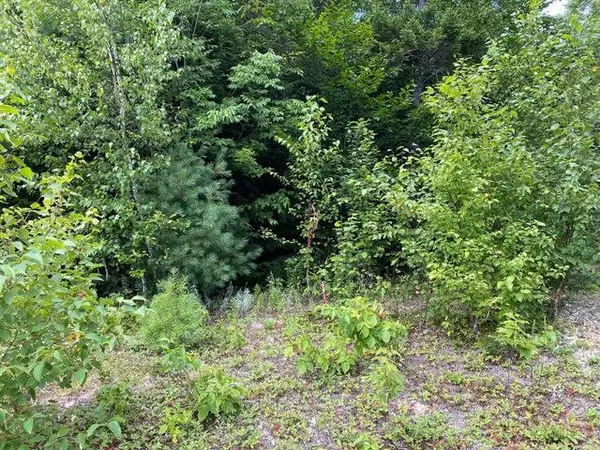 Cathance Twp, ME 04628,WA4 Partridge Knoll