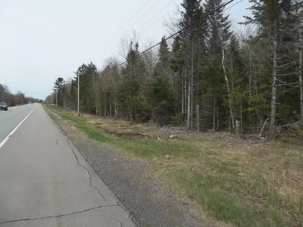 Alexander, ME 04694,M75 L3 Airline RD