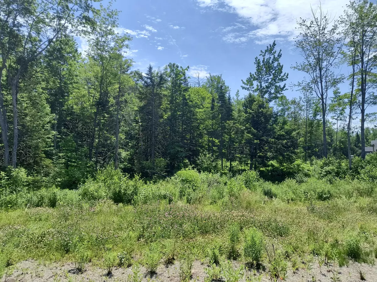 Pittsfield, ME 04967,0 Birchwood TER