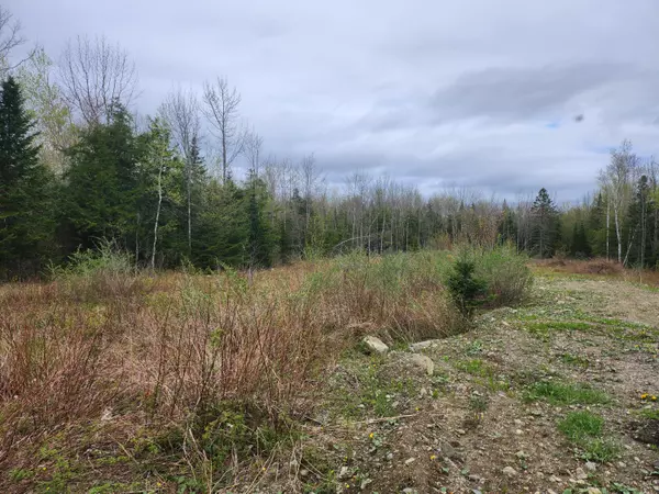 Newport, ME 04953,29 Drew LN