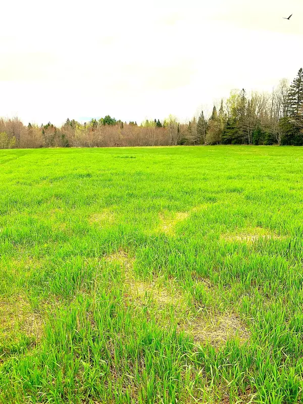 Dexter, ME 04930,M101 L65-1 Line RD