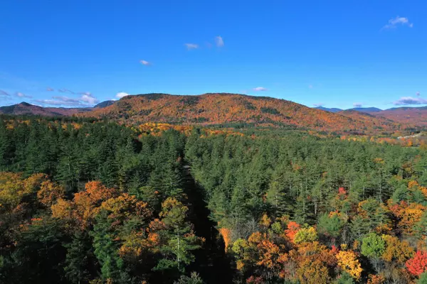 Bethel, ME 04217,00 Intervale RD