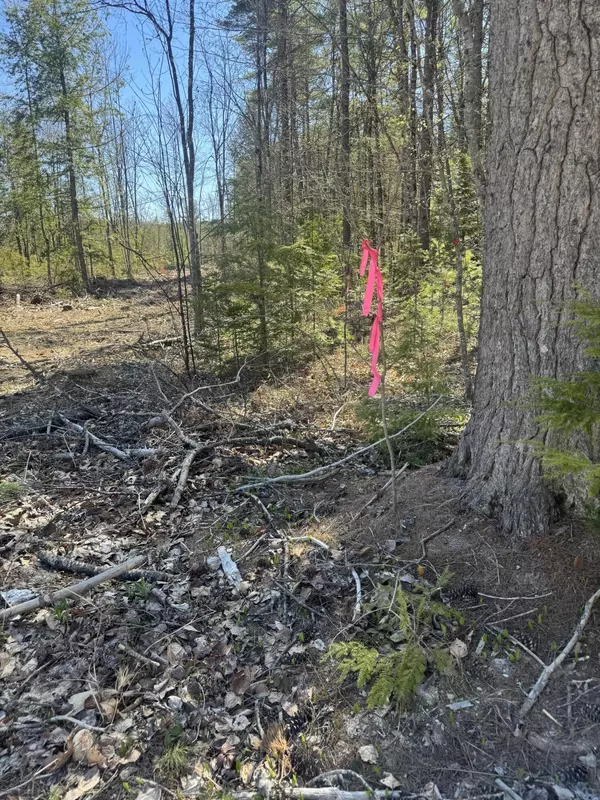 Lovell, ME 04051,Lot# 31-H Old Waterford RD