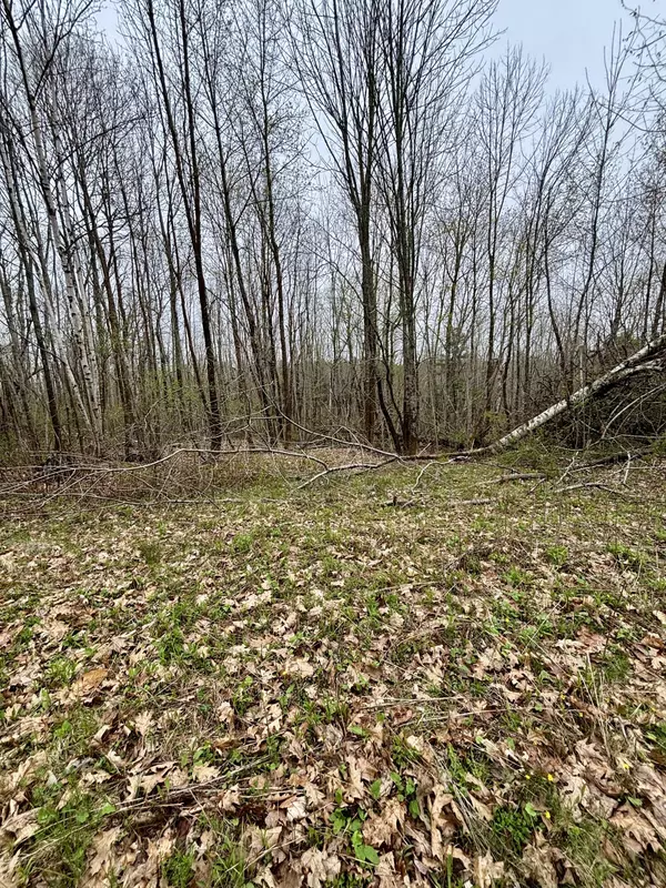 140 Gray Meadow RD, Orland, ME 04472