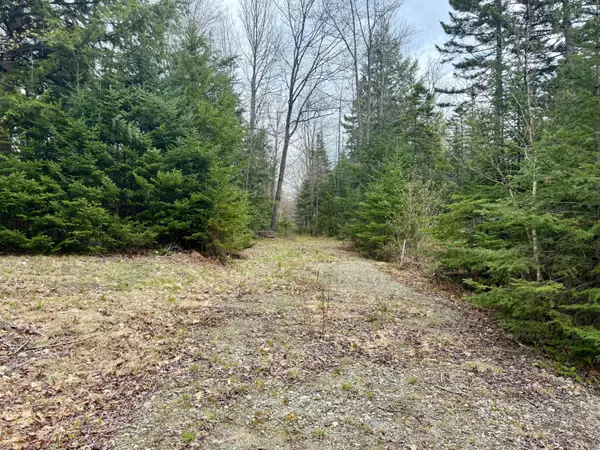 Avon, ME 04966,TBD Bob Oberton RD