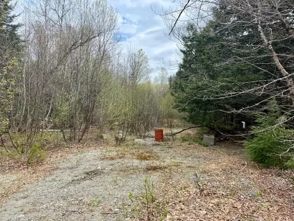 Avon, ME 04966,TBD Bob Oberton RD