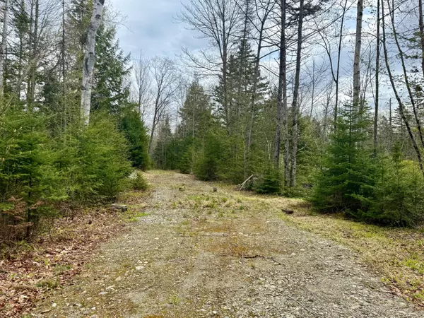 Avon, ME 04966,TBD Bob Oberton RD