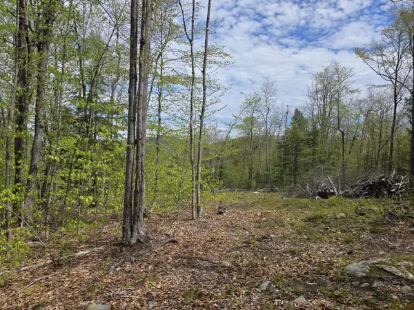 Woodstock, ME 04219,Lot# 26 West Summit RD