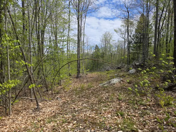Woodstock, ME 04219,Lot# 26 West Summit RD