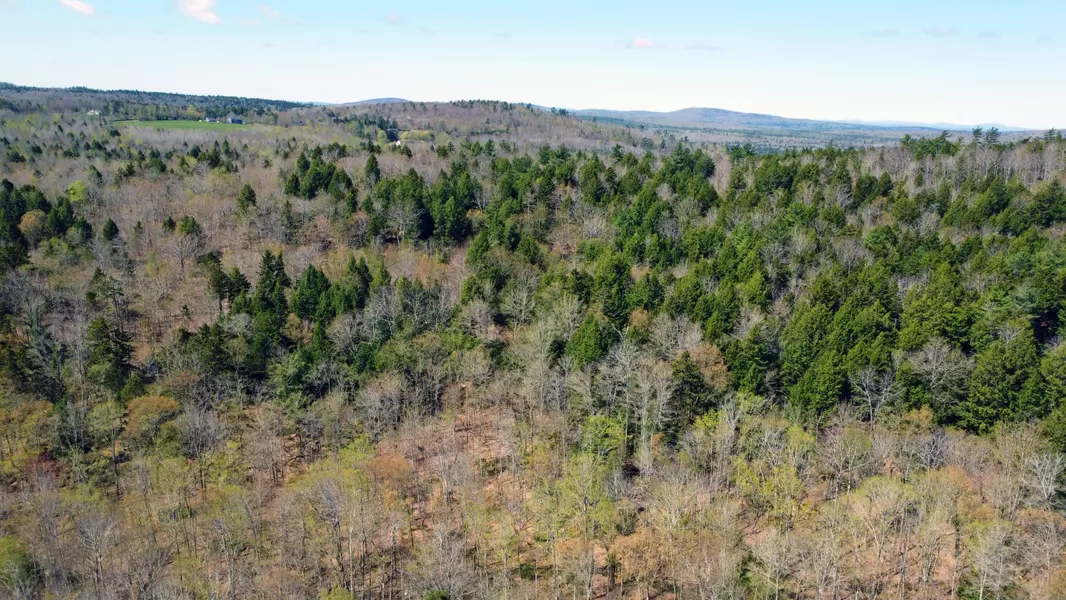 Lot 4 Peakes Hill RD, Dedham, ME 04429