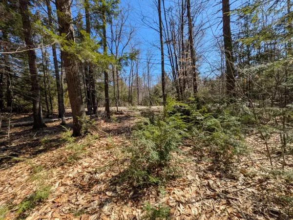 Stow, ME 04037,6 New Meadow RD