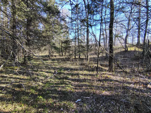 Addison, ME 04606,M17/L28 Basin RD