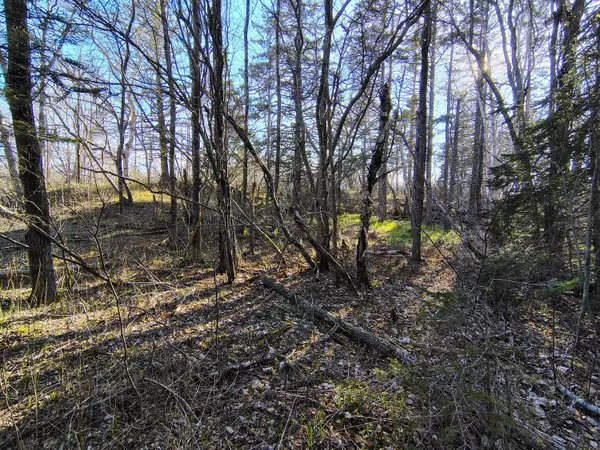 Addison, ME 04606,M17/L28 Basin RD