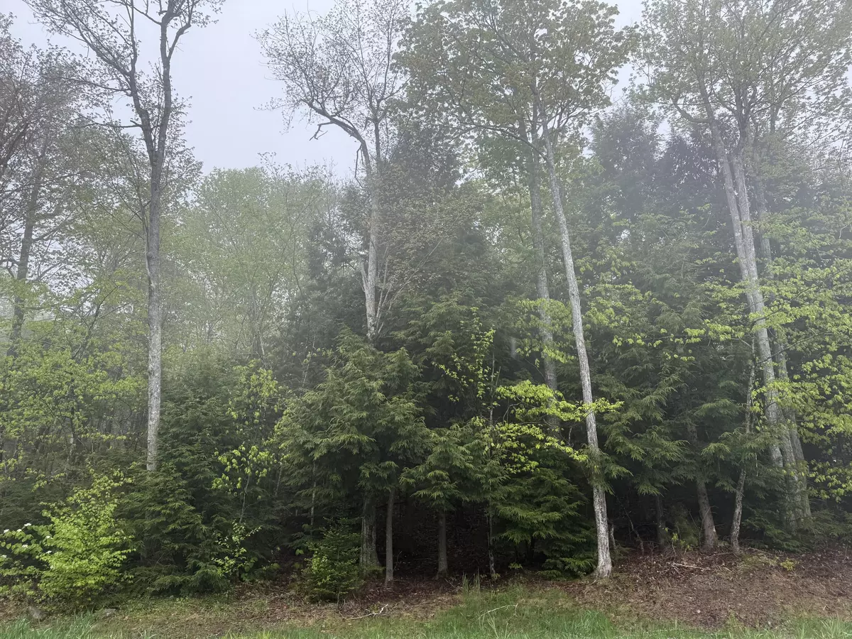 Ellsworth, ME 04605,4-2 Happytown RD