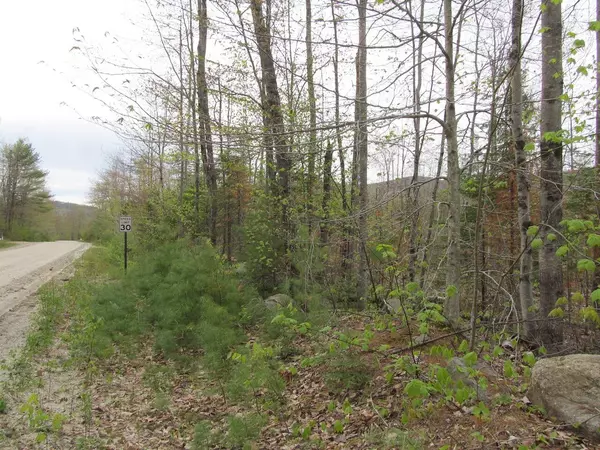 Woodstock, ME 04219,011N Concord Pond Road