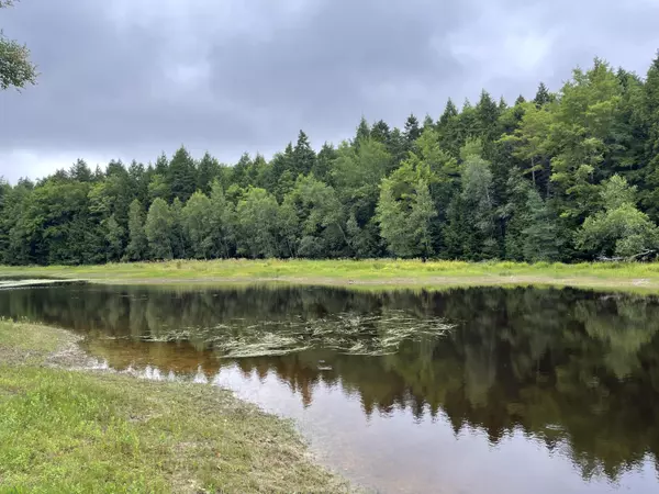 R08-001 West Branch RD, Mariaville, ME 04605