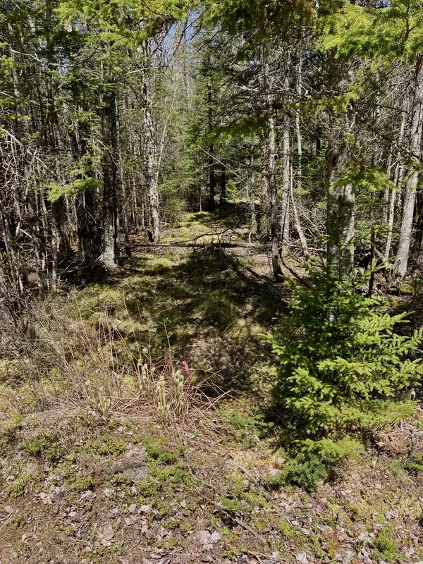 Lot 94 Yoho Head RD,  Machiasport,  ME 04655